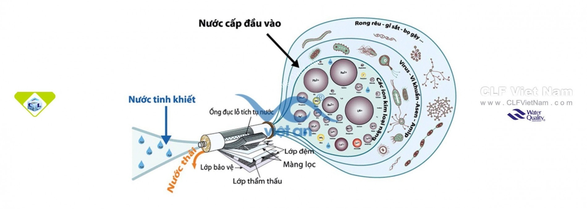 benner-quy-trinh-tach-nuoc-cua-mang-tham-thau-nguoc