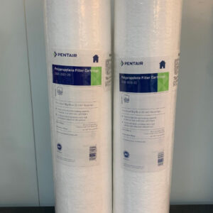 Loi loc PP Bigblue 20 inch Pentair USA 1