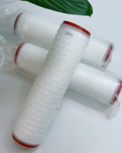Lõi lọc xác khuẩn 10 inch - 0.2 (µm) 