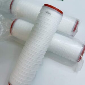 Lõi lọc xác khuẩn 10inch - 0.2 (µm)