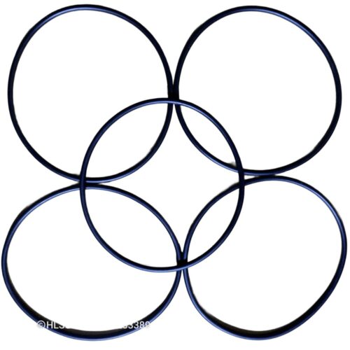 Linh kiện lọc nước - 10 cái Ron ly lọc 10inch 3 Combo 5 cái Ron ly lọc 10inch