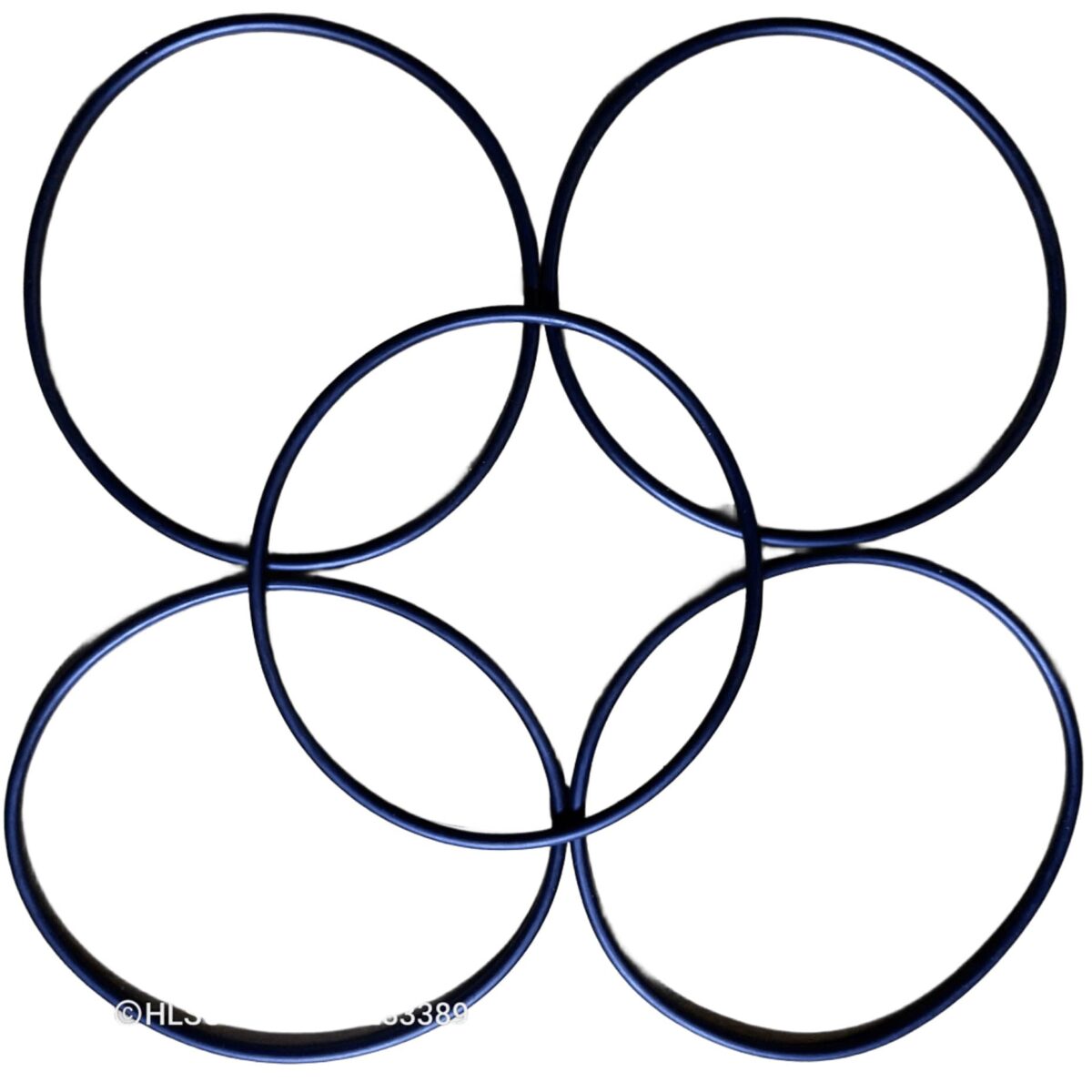 Ron ly lọc 10 inch Ron ly loc 10 inch